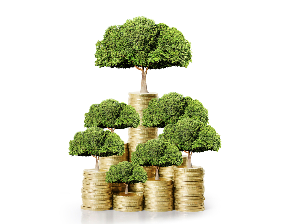 Investment Basics: Growing Wealth the Right Way